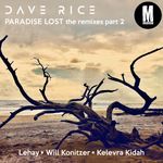 Close To You (Lehay Remix) by Dave Rice — cover art
