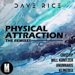 Physical Attraction [Will Konitzer Remix] by Dave Rice ft. Ashley Mazanec — cover art